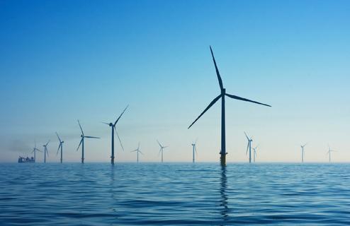 Environmental Management services