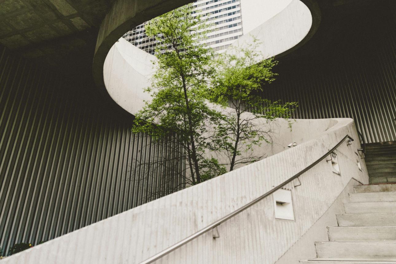 Assessment & Due Diligence services